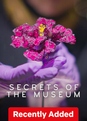 Secrets of the Museum poster